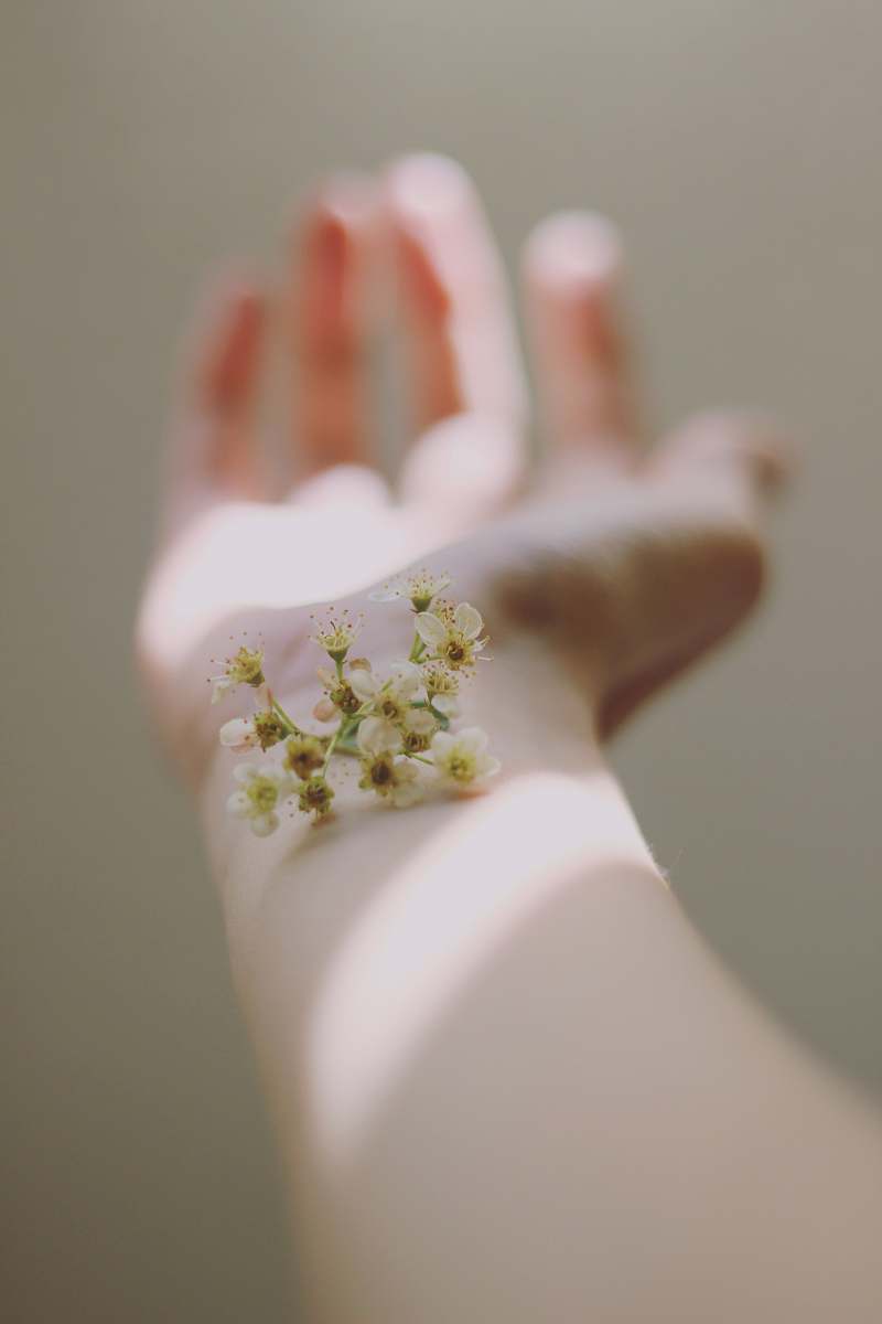 cherry blossom selective focus photography of white clustered flowers on left human hand flora